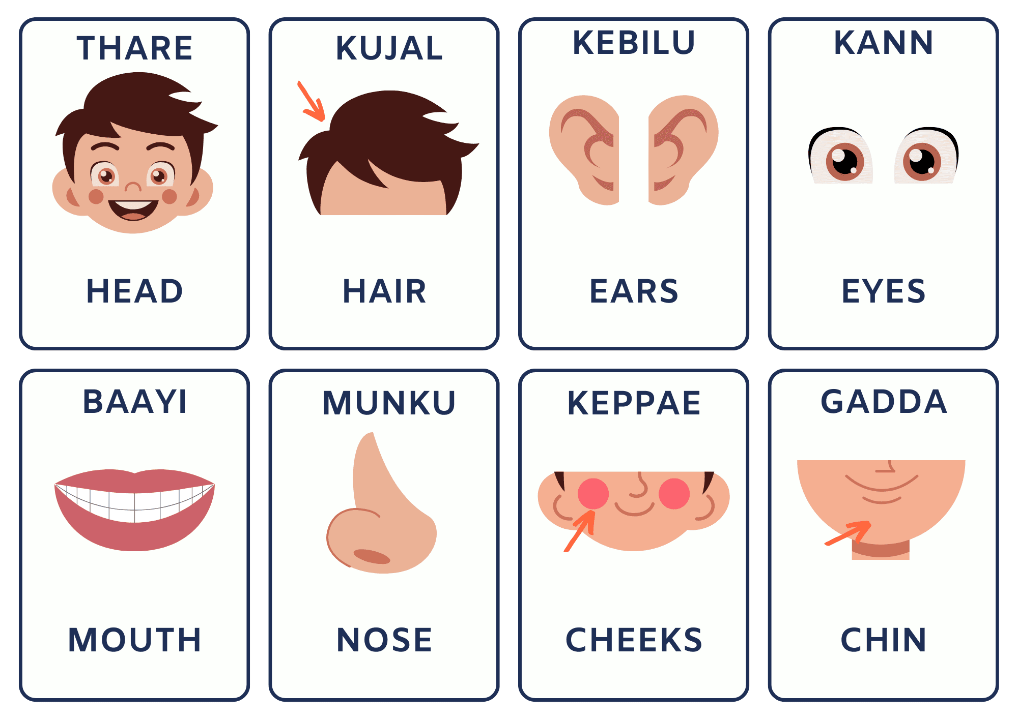 Tulu Flash Cards for Body Parts - Bale Tulu Kalpuga, image size:2000x1414